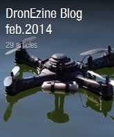 dzine-flip-feb