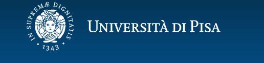 immagine di universita pisa logo