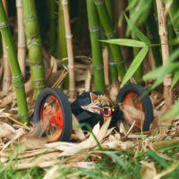 Parrot_Jumping_Sumo_LIFESTYLE_BAMBOO