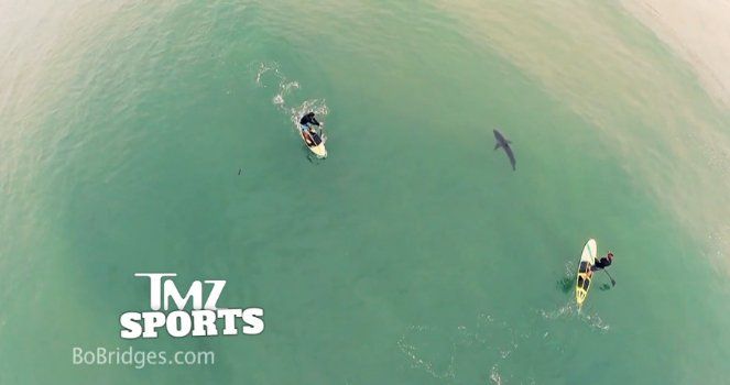 canoisti-e-squalo-ripresi-da-drone