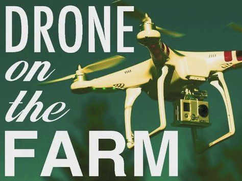 immagine di drone on the farm