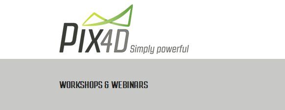 immagine di px4d workshop
