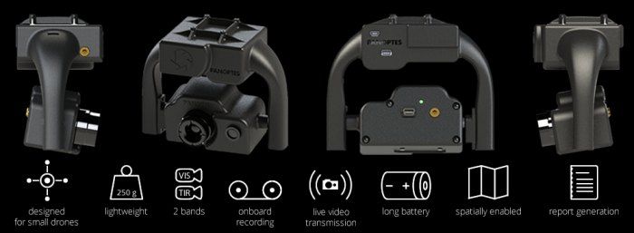 immagine di panoptes