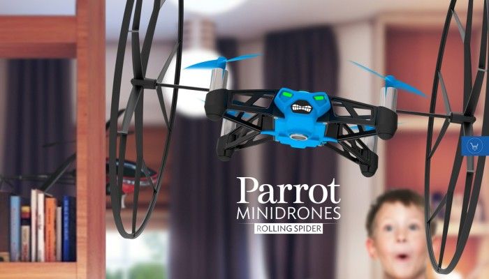 rolling-spider-parrot