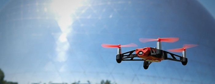 immagine di video large rolling spider