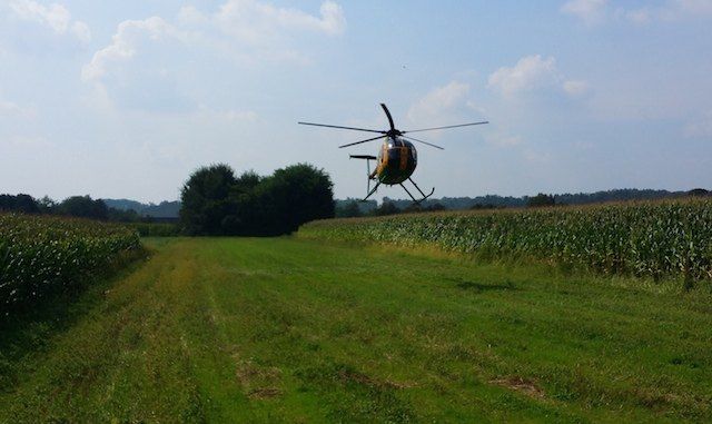 immagine di drone canapa indiana