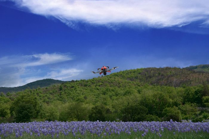 immagine di fotomamma