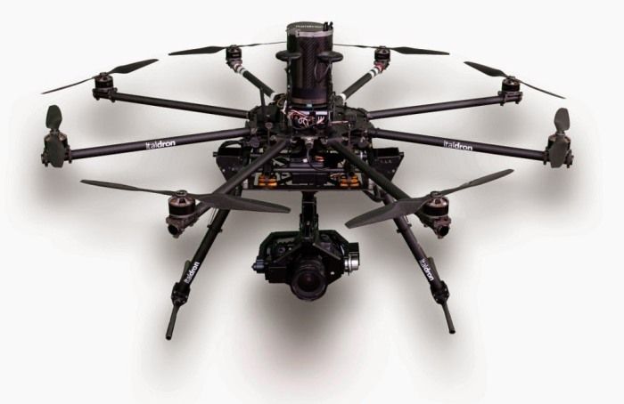 immagine di istituto nobile