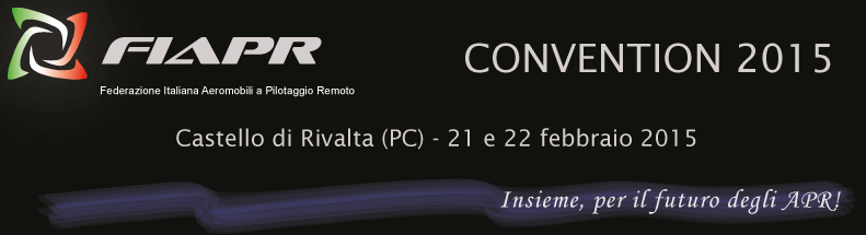 immagine di CONVENTION 2015 11