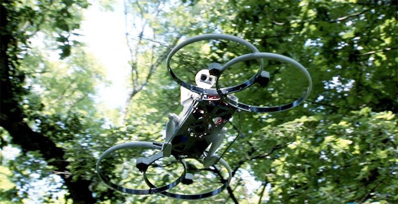 immagine di drone natura