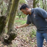 immagine di 717 1lici9.AuSt .55