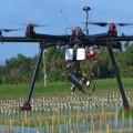 immagine di dronerice