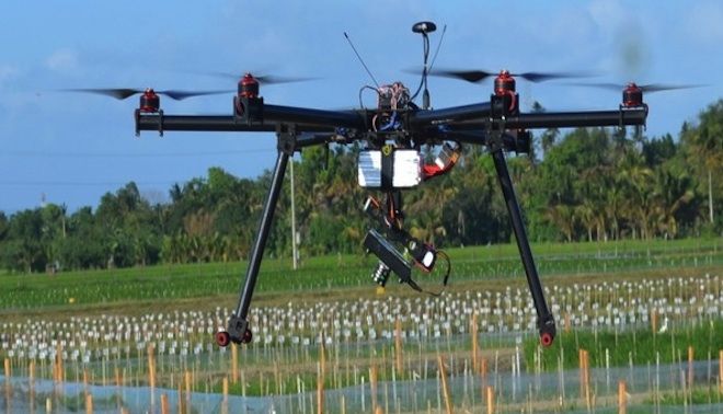 immagine di dronerice