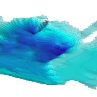 immagine di pairana 3D