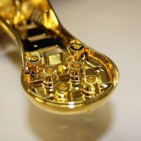 immagine di IMG 1902