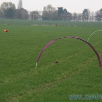 immagine di openmulti 15