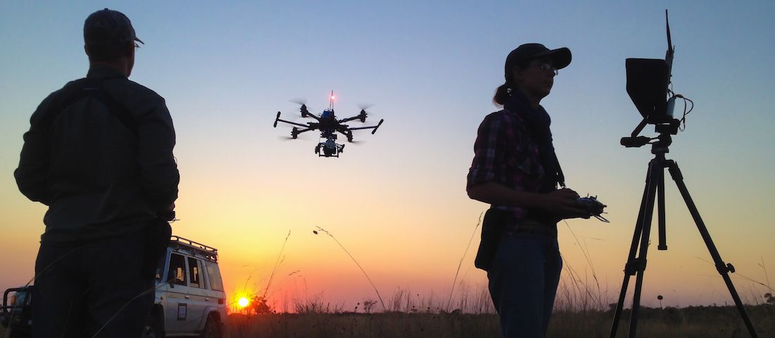 immagine di Drone Crew Sunset Botswana
