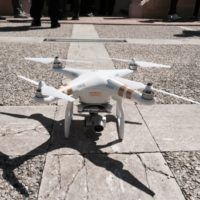 immagine di drone comune pineto tutela ambiente