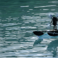 immagine di Parrot Hydrofoil NewZ Lifestyle5