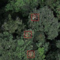 immagine di drone chimp 3