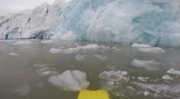 drone marine shark in artico