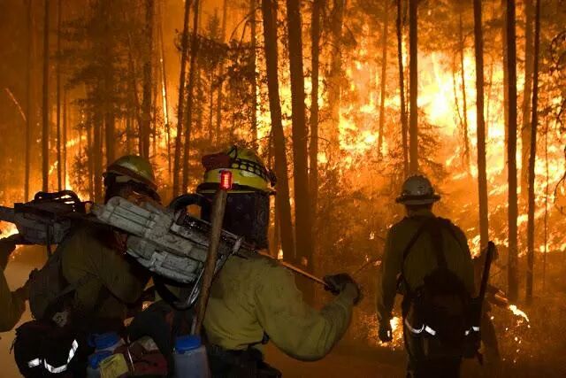 vigili fuoco in mezzo alle fiamme