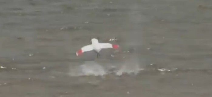 immagine di flimmer drone anfibio
