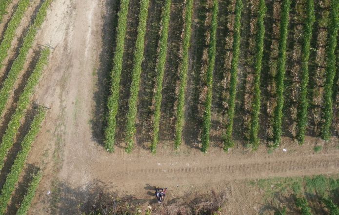 volo-droni-fiap-agricoltura