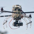 immagine di RomaDroneConf foto drone