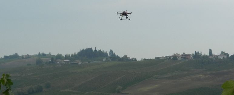 immagine di drone. su campo agricolo