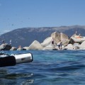 immagine di trident openrov drone sottomarino