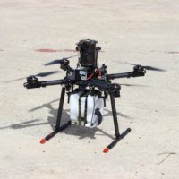 immagine di IMG 3299 Large