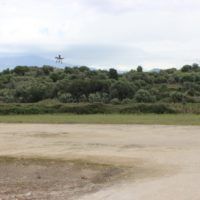 immagine di IMG 3303 Large