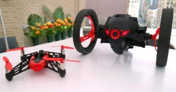 Parrot_Spider_Sumo