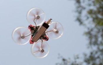 blade_BLH8700_inductrix-11 2