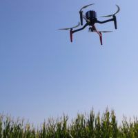 immagine di 20150804 101039