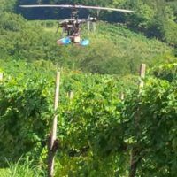 immagine di IMG 20150806 WA0009