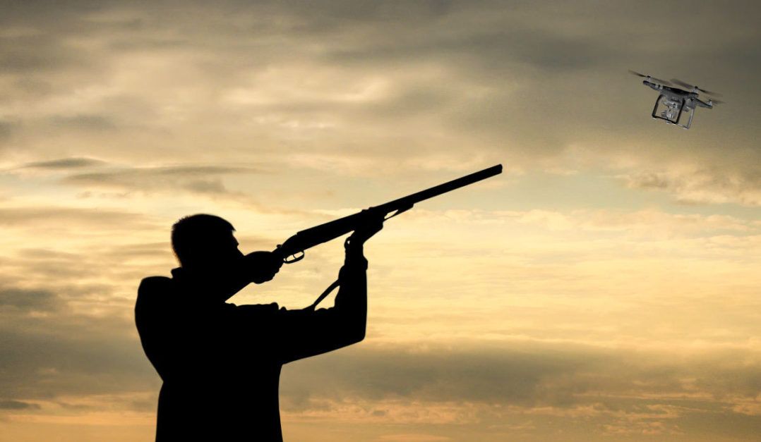 immagine di Senza titolo 3