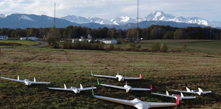 immagine di formation avec pyrennee petit