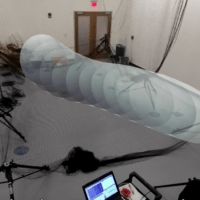 immagine di Schermata 2016 01 24 alle 21.59.56