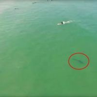 immagine di 925350 630x354