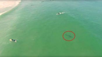 immagine di 925350 630x354