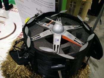 Un'altra immagine di Efeso della toscana Zefiro