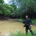 immagine di 2.Parrot Amazzonia EquipeSansMaison 3