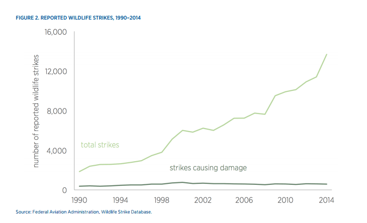 grafico impatti uccelli