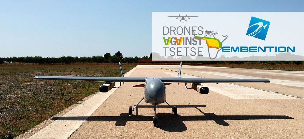 immagine di tsetsedrone