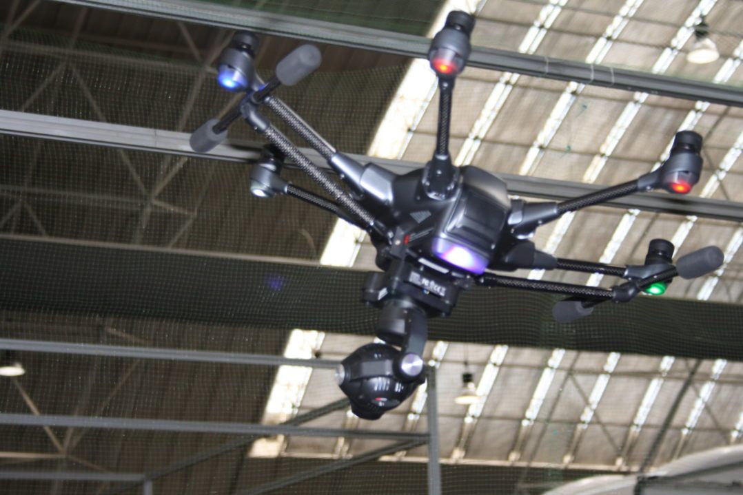 immagine di IMG 7915