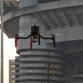 immagine di anteos aermatica meazza