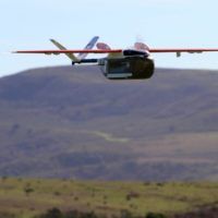 immagine di maxresdefault 1