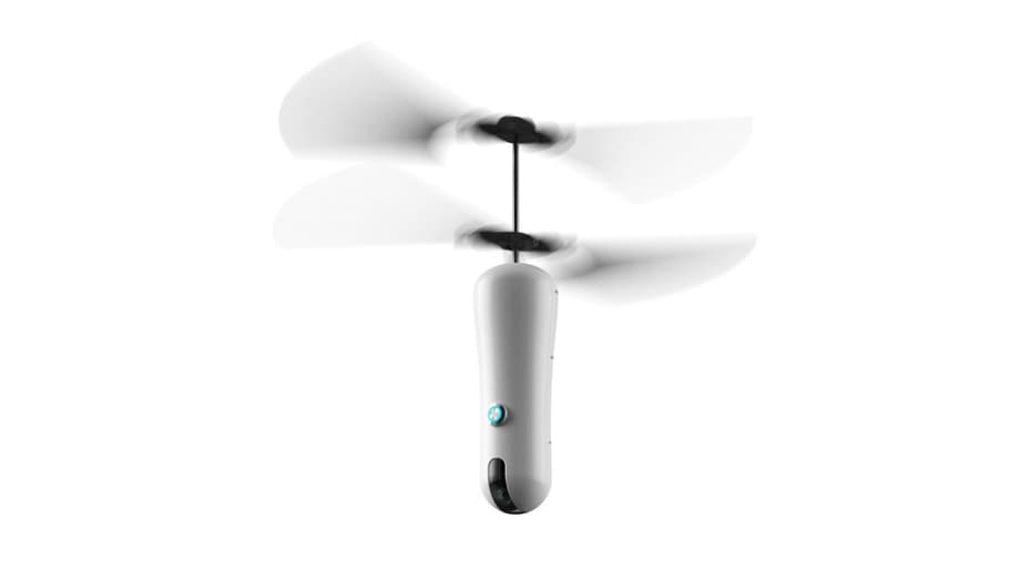 immagine di roam e drone 2